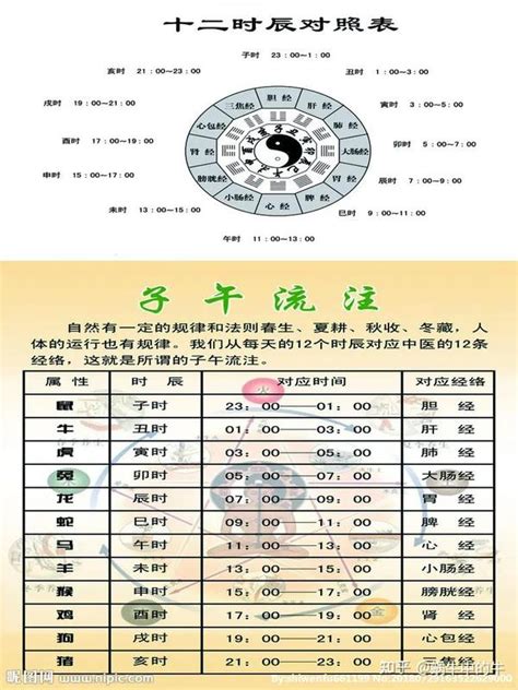 丁酉时|天支地支 十二时辰对照表